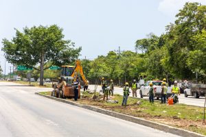 Gobierno municipal reforesta camellón de la carretera federal
