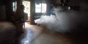 Realiza SSY acciones de prevención contra el dengue