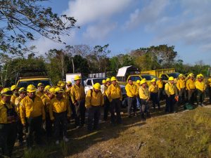 Quintana Roo trabaja en la prevención de incendios forestales