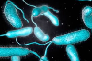 ¿Cuáles son los síntomas que provoca la bacteria ‘come carne’?