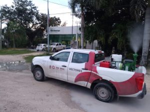 SESA fortalece la lucha contra el dengue, para bajar su incidencia en Quintana Roo