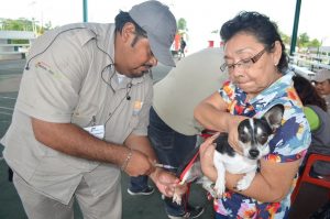 Anuncia SESA Jornada Nacional de Vacunación Antirrábica Canina y Felina 2023