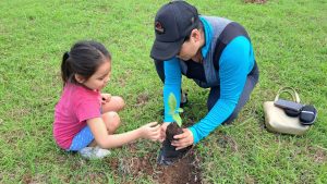 Se plantaron 5 mil 500 árboles de manera simultánea en los 11 municipios de Quintana Roo