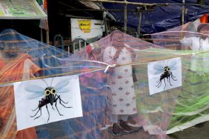 Recomienda OMS la primera vacuna contra el dengue; transmisión creció en Latinoamérica