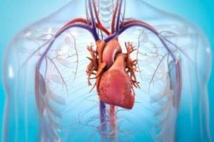 La Polipíldora: un medicamento eficaz para reducir la mortalidad cardiovascular
