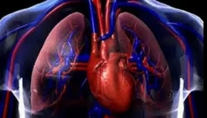 Identifican primera diana terapéutica para salvar el corazón de pacientes con hipertensión pulmonar