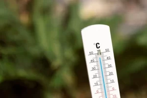 Calor en México: ¿cómo protegerse de altas temperaturas?