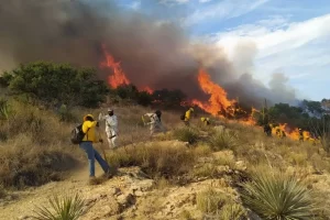 Piden a Semarnat informe sobre acciones para combatir incendios forestales en México