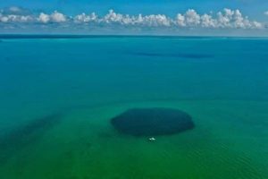 Científicos confirman que el Agujero Azul de Chetumal, el más profundo y grande del mundo