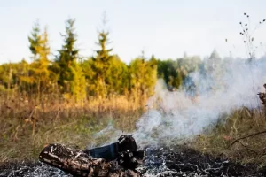 Incendios forestales extremos se han duplicado en los últimos 20 años