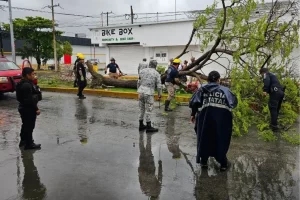 Quintana Roo baja a ‘Amarilla’ la alerta en el estado tras paso de ‘Beryl’