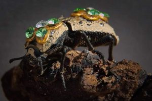 Makech: La leyenda de amor del escarabajo yucateco