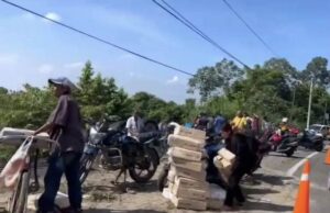 Rapiñan tráiler cargado con carne en la carretera Cárdenas-Villahermosa