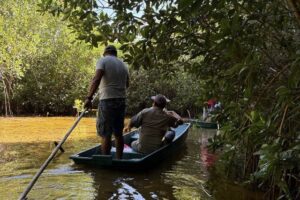 Familias de Sisal lideran la recuperación de manglares en Yucatán 