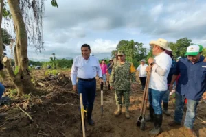 Reforestación superó expectativas en Tabasco: Javier May Rodríguez