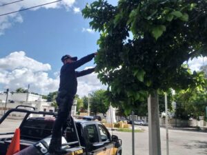 SSP refuerza seguridad vial con limpieza y liberación de señalética  