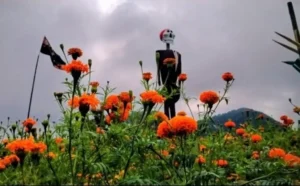 Vive en Paxtepec, Veracruz la tradición del Día de muertos