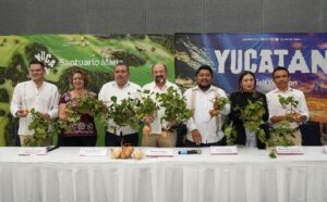 Maxcanú se prepara para albergar el 6° Festival de la Jícama