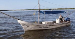 Yucatán ampliará la cuota de pulpo a 32 mil toneladas 