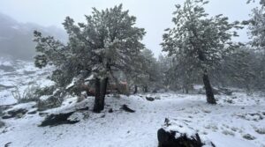 Cae la Segunda Nevada en el Cofre de Perote: Jessica Luna