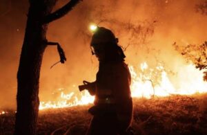 Incendios forestales y quemas controladas contaminan más de lo estimado: Estudio