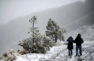 ¡Mucho frío! Zalayeta Perote, municipio de Veracruz llegó a los -4 grados Celsius