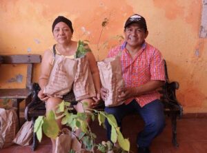 Impulsan producción apícola y restauración ambiental en Tekantó