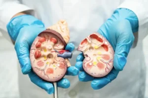 Hoy celebran el Día Mundial del Riñón