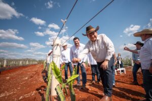  Pitahaya Valley posiciona a Yucatán como referente nacional en producción de pitahaya: Joaquín Diaz Mena