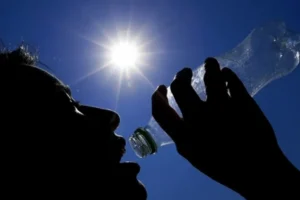 Conoce qué debes tomar en cuenta para evitar un golpe de calor