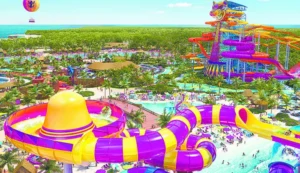 Royal Caribbean lamenta cancelación de ‘Perfect Day’ en Mahahual