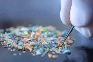 Microplásticos ya están presentes en la sangre y pulmones humanos, alerta investigador de la UASLP