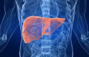 Descubren proteína clave del hígado que podría abrir nuevas vías contra la diabetes y la obesidad