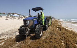 Quintana Roo invierte 777 mdp para combatir el sargazo y apuesta por su aprovechamiento productivo: Mara Lezama
