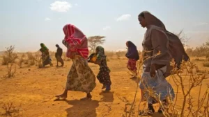 Banco Mundial alerta de ‘migraciones masivas’ por cambio climático en varias partes del mundo