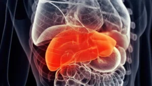Identifican proteína esencial para prevenir daño hepático y tumores con el envejecimiento
