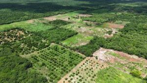 Gobierno de México moderniza la gestión del agua en Yucatán con trámites más ágiles y transparentes para concesionarios de agua