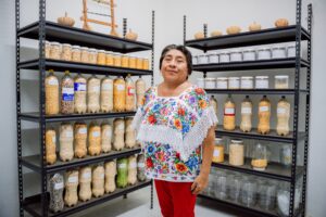 Comunidades y juventudes de Dzitás crean banco comunitario de semillas nativas