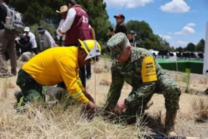 La Presidenta Claudia Sheinbaum decreta jornada nacional de reforestación cada segundo domingo de agosto