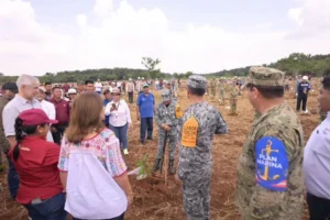 Plantan mas de 300 mil árboles al sur de Veracruz
