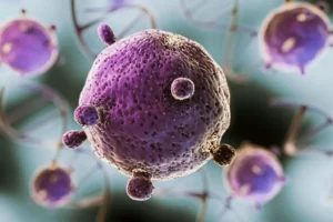 Cofepris descarta presencia de Cyclospora en hoteles de la Riviera Maya 