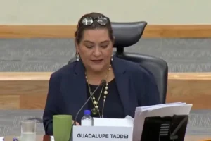Inicia el proceso electoral 2027 en México ¿Qué se elegirá? (+Vídeo)