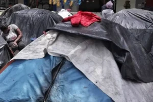 ¿Cuántas personas piden refugio en México cada día? Esta es la cifra de la COMAR