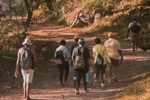 Correr a baja velocidad también podría beneficiar al cerebro, revela estudio